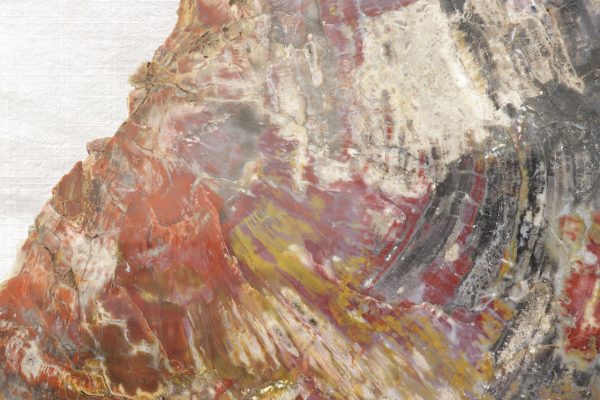 Opalisiertes Holz – Bild 6