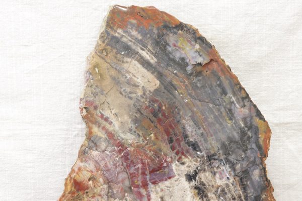 Opalisiertes Holz – Bild 5