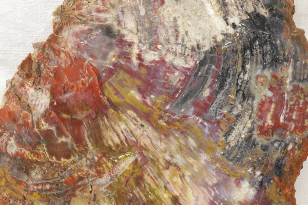 Opalisiertes Holz – Bild 3