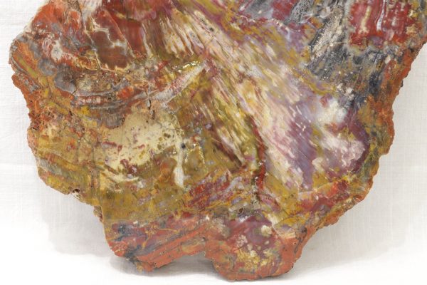 Opalisiertes Holz – Bild 2