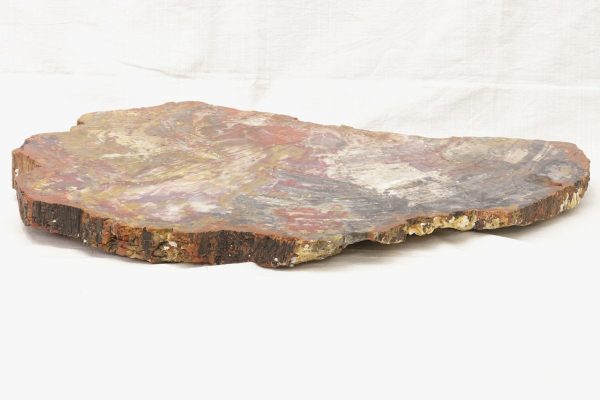Opalisiertes Holz – Bild 8