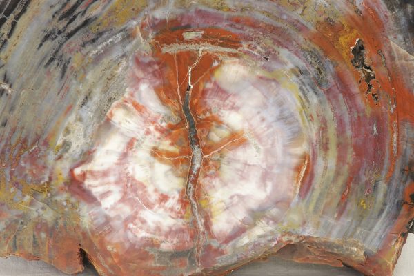 Opalisiertes Holz – Bild 2