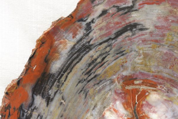 Opalisiertes Holz – Bild 3