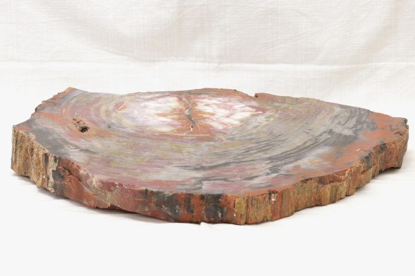 Opalisiertes Holz – Bild 6