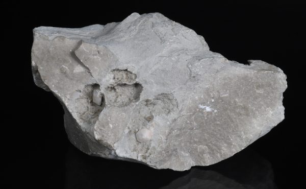 Coelestin – Bild 2