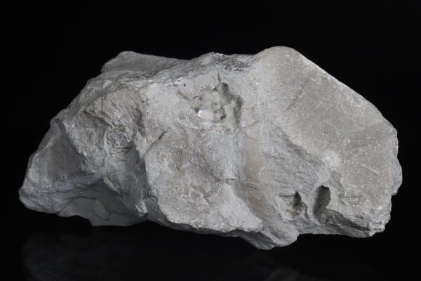 Coelestin – Bild 3