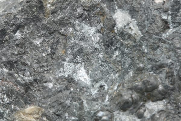 Allemontit, Antimonit – Bild 8