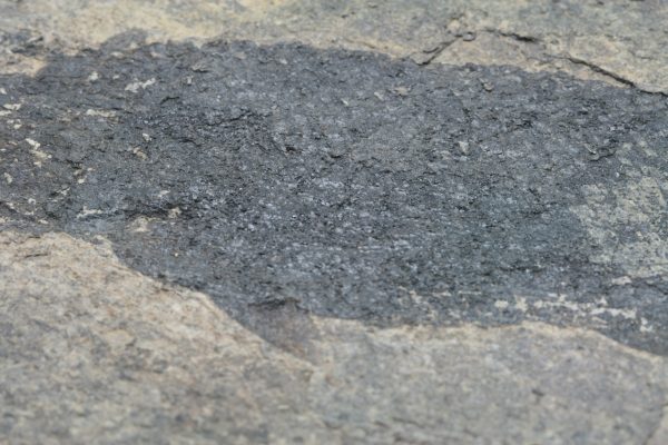 Versteinerter Fisch – Bild 10