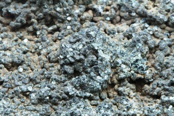 Ilvait, Chlorit – Bild 8