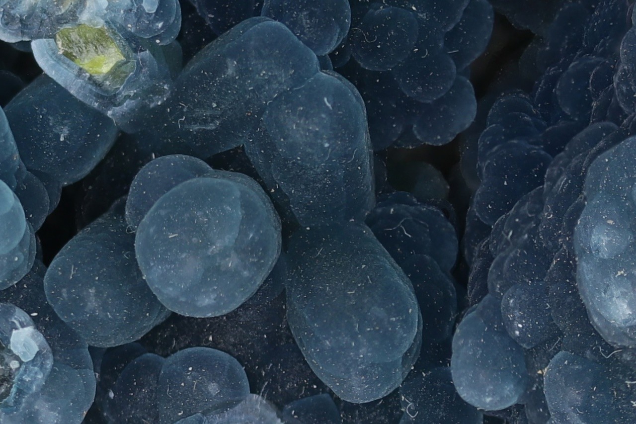 Bleiglanz – Bild 11