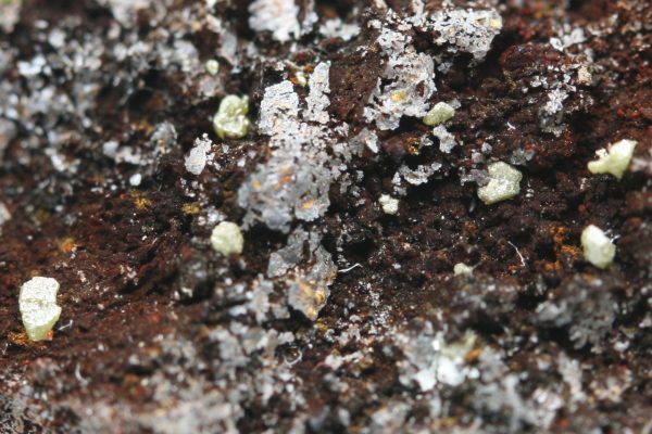 Embolith – Bild 6