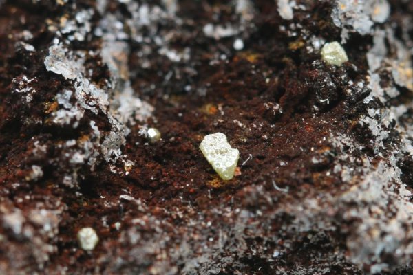 Embolith – Bild 7