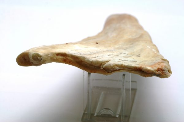 Aragonit – Bild 4