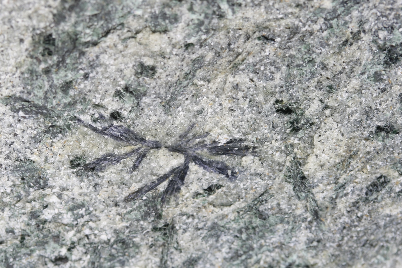 Holmquistit – Bild 6