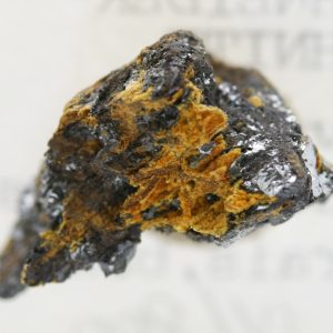 Karibibit