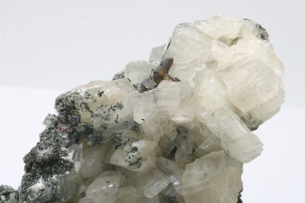 Titanit, Calcit – Bild 8