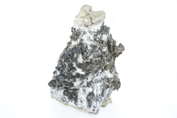 Silber, Pyrargyrit, Gersdorffit – Bild 13