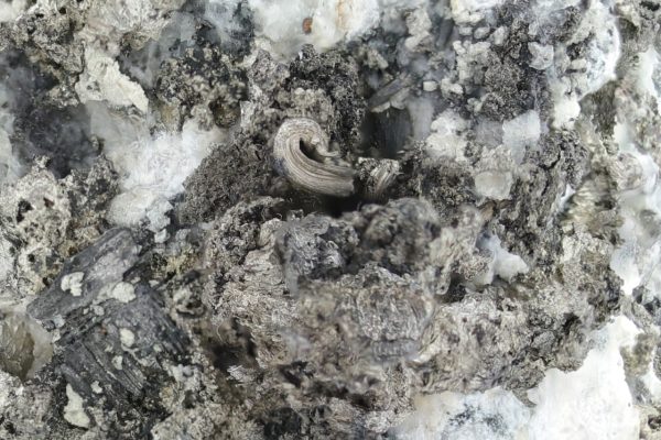 Silber, Pyrargyrit, Gersdorffit – Bild 14