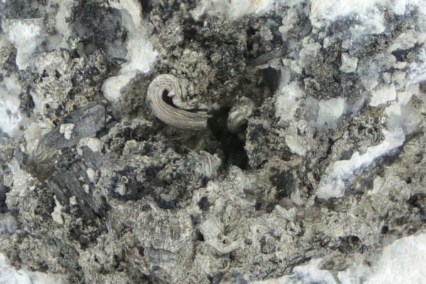Silber, Pyrargyrit, Gersdorffit – Bild 15