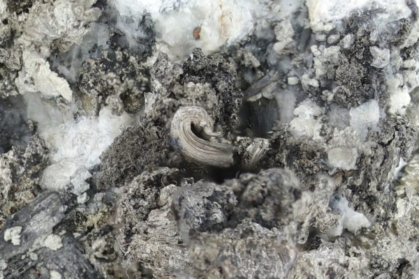 Silber, Pyrargyrit, Gersdorffit – Bild 17
