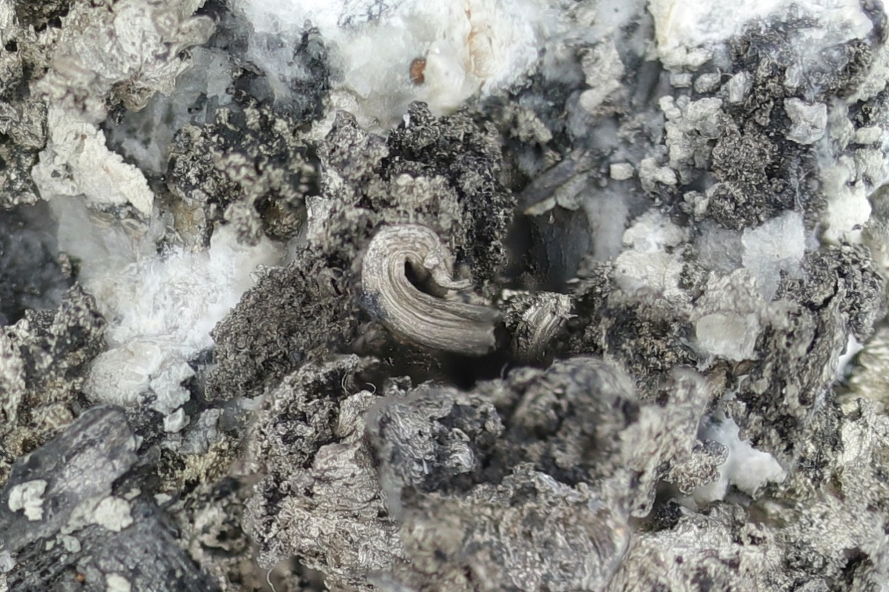 Silber, Pyrargyrit, Gersdorffit – Bild 17