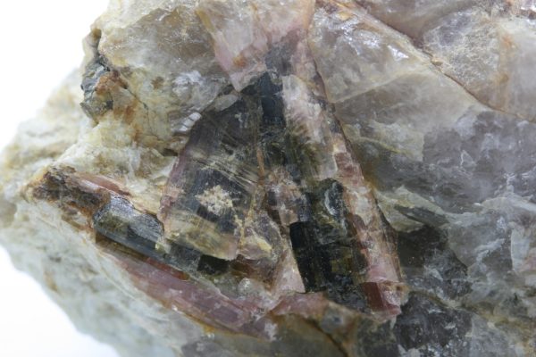 Elbait – Bild 6