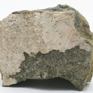 Stevensit