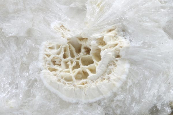 Pektolith, Natrolith – Bild 8