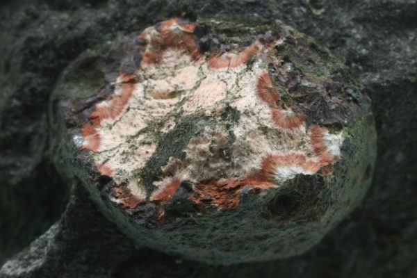 Mordenit – Bild 5