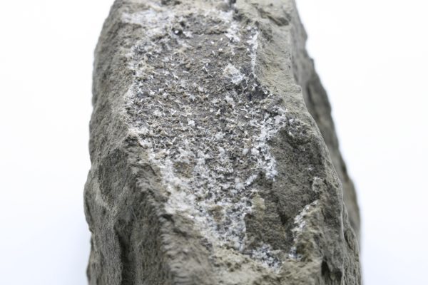 Ferrierit - NH4 – Bild 4