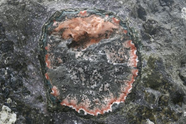 Mordenit – Bild 5