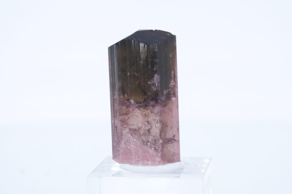 Elbait – Bild 4