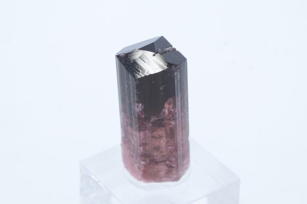 Elbait – Bild 5