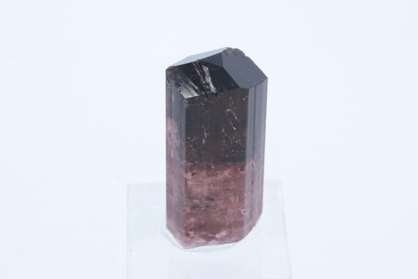 Elbait – Bild 6