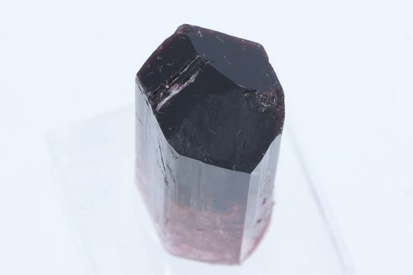 Elbait – Bild 8