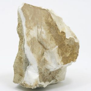 Mesolith