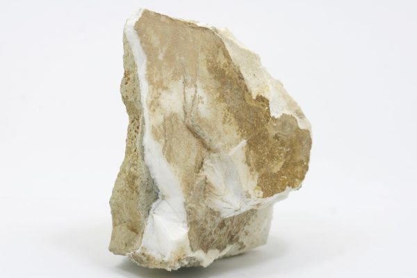 Mesolith