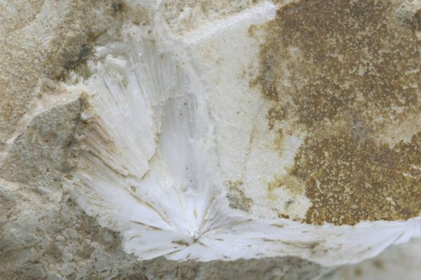 Mesolith – Bild 6