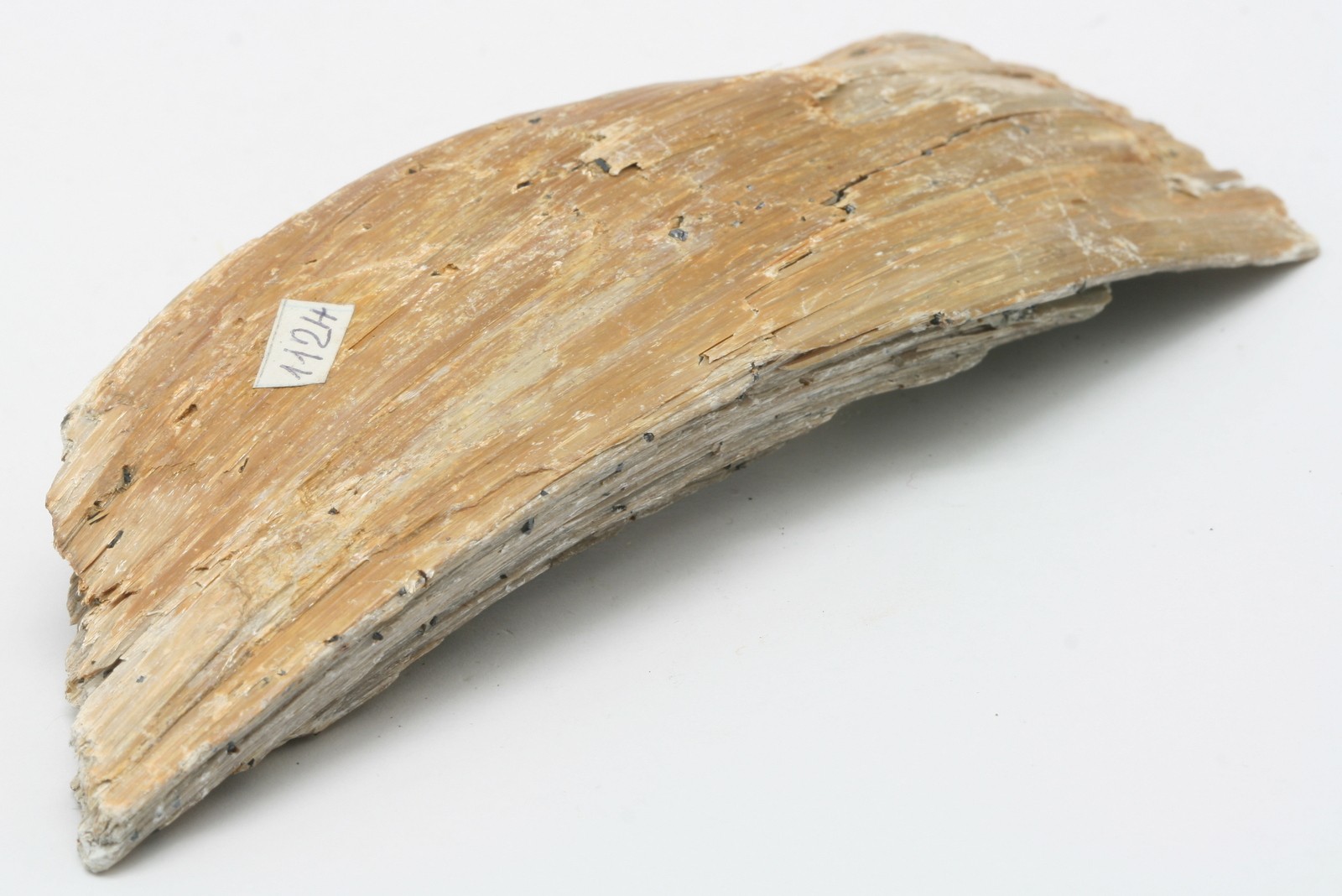 Magnetit, Pikrolith – Bild 3