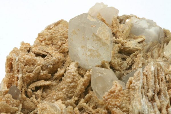 Cookeit, Muskovit – Bild 2