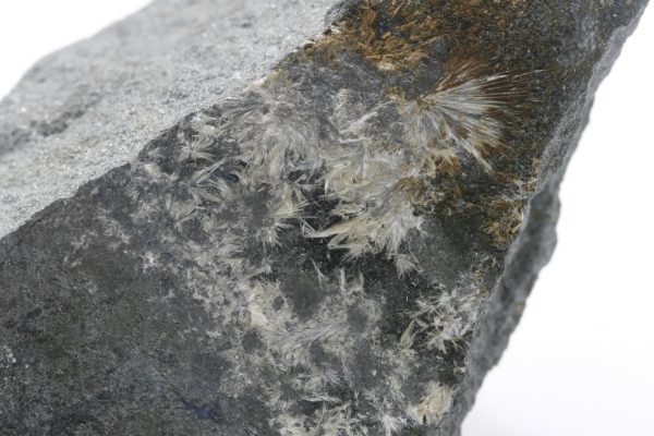 Valentinit – Bild 5