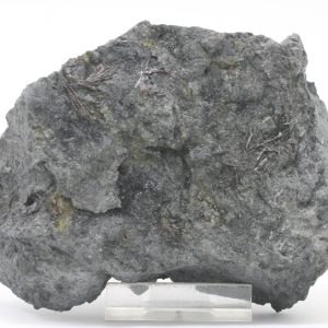 Kermesit