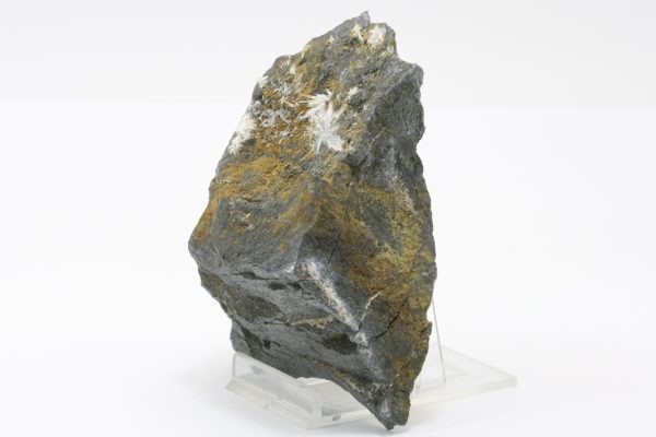 Valentinit – Bild 4