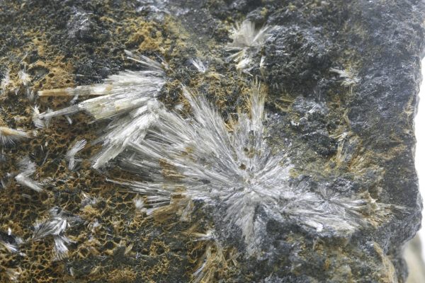 Valentinit – Bild 6