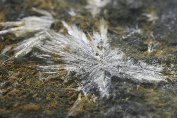 Valentinit – Bild 9