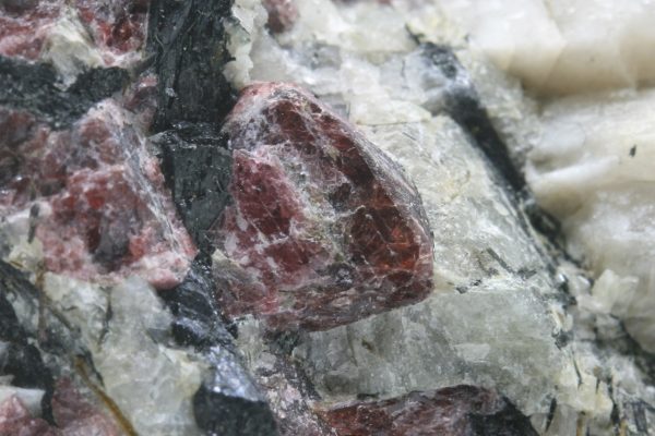 Eudialyt – Bild 5