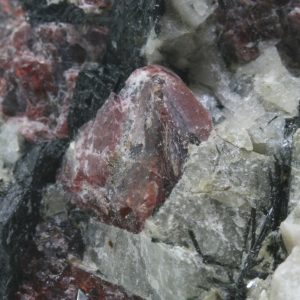 Eudialyt