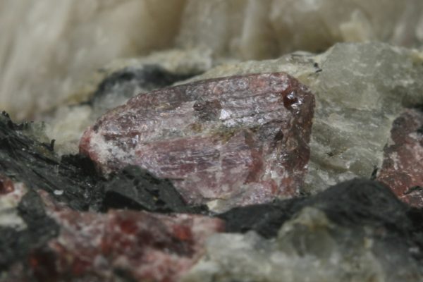 Eudialyt – Bild 7