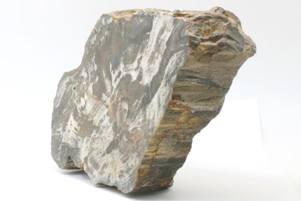 Araukarit – Bild 2