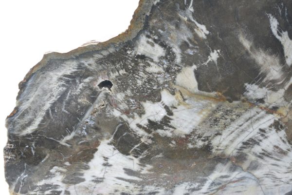 Araukarit – Bild 6